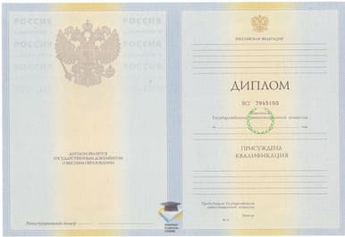 Диплом КИФЭИ 2010-2011 годов